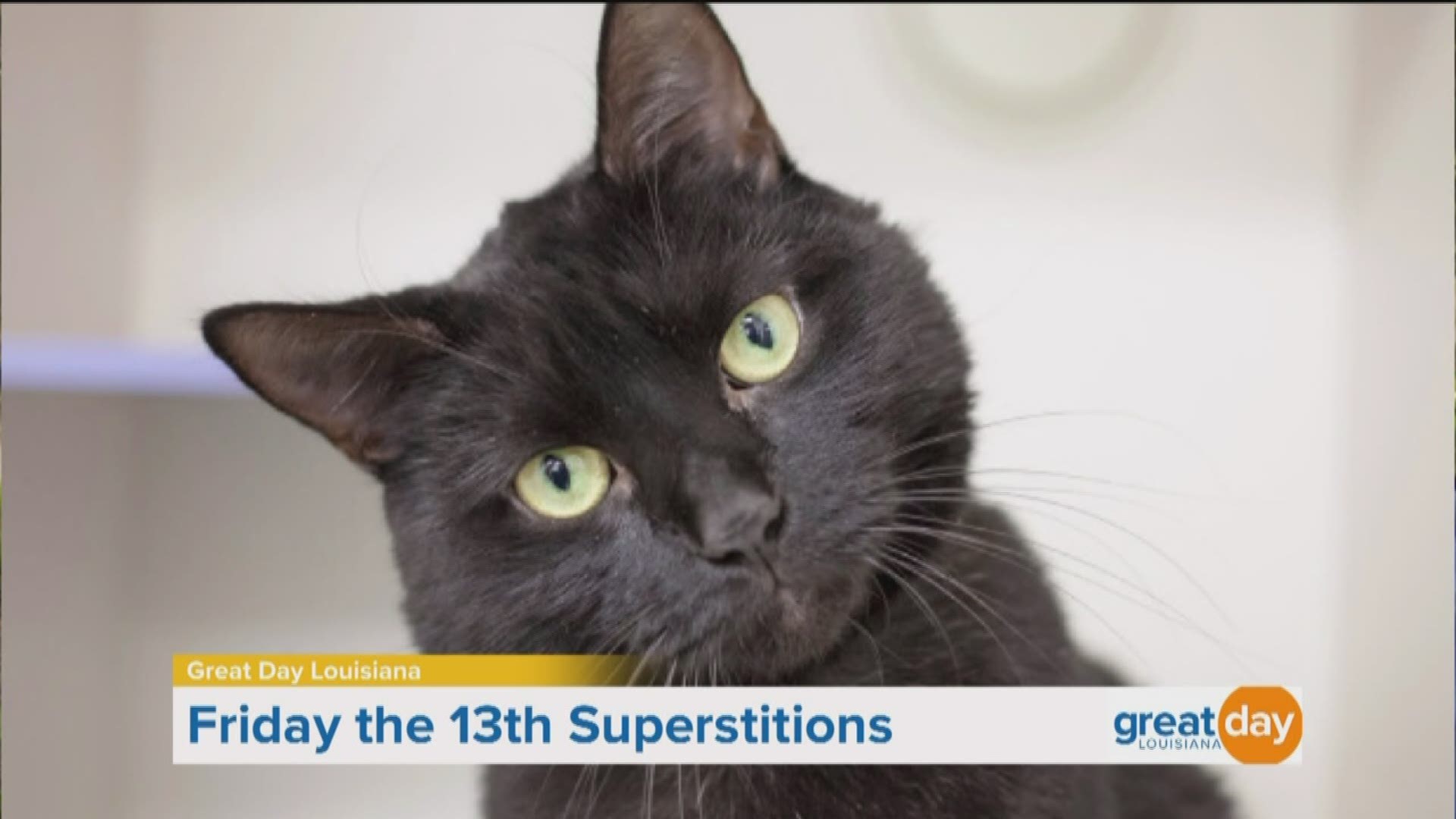 Are you superstitious on Friday the 13th? Malik hits the streets to hear whether or not people are spooked by the day.