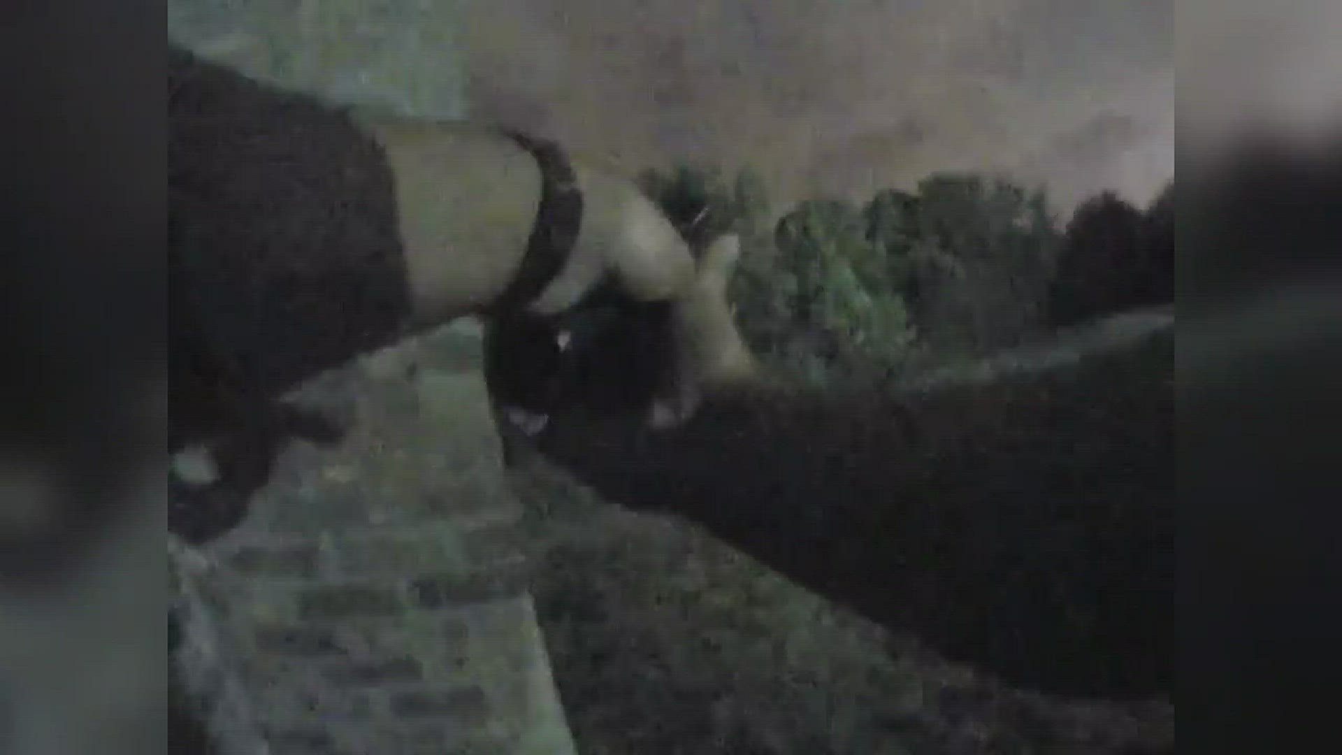 Nopd Ushers In New Video Policy With Release Of Fatal Shooting Footage 9642