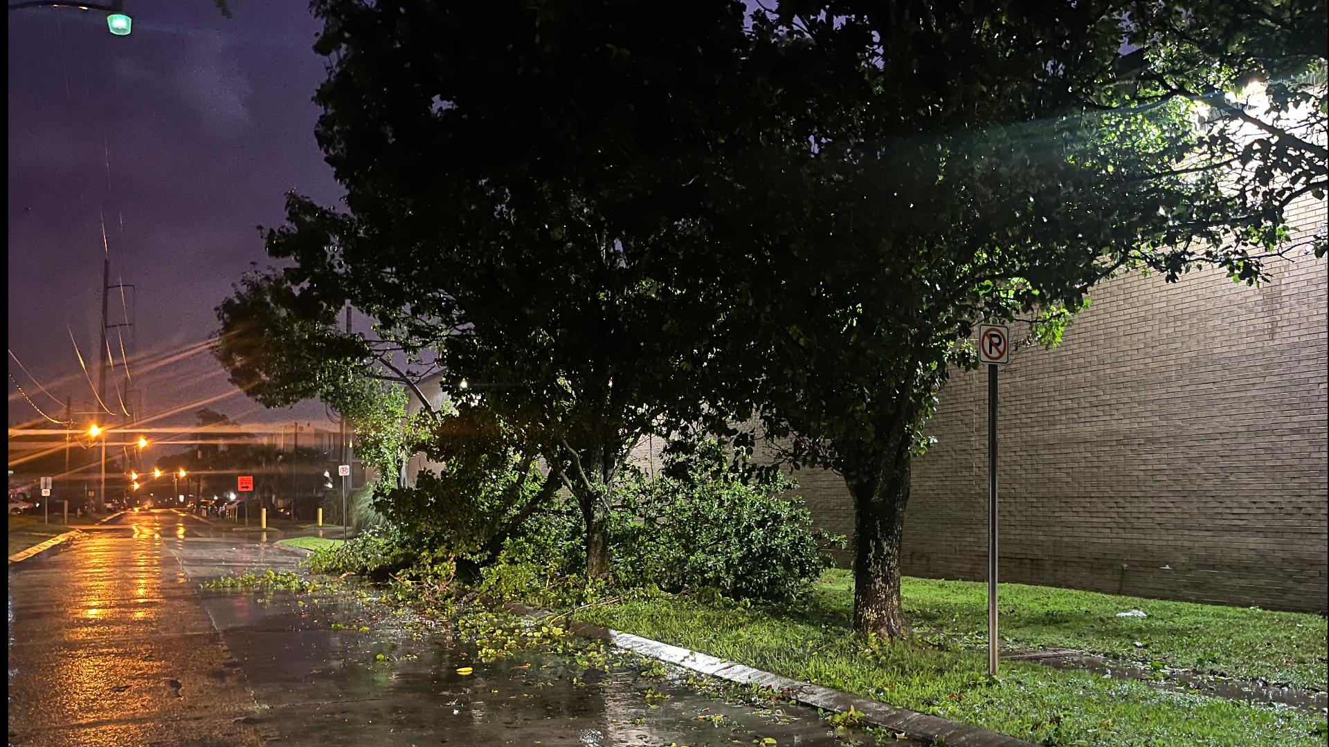 Trees down in Metairie early Friday after the storms.