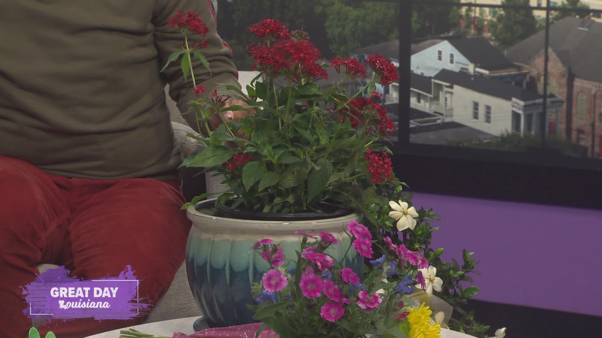 We learn about some good cut flowers and living plants to give to mom this Mother's Day.