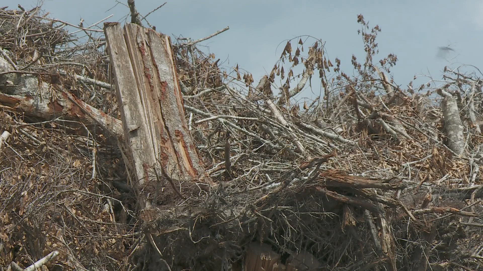 Burning of tornado debris in St. Tammany to begin this week