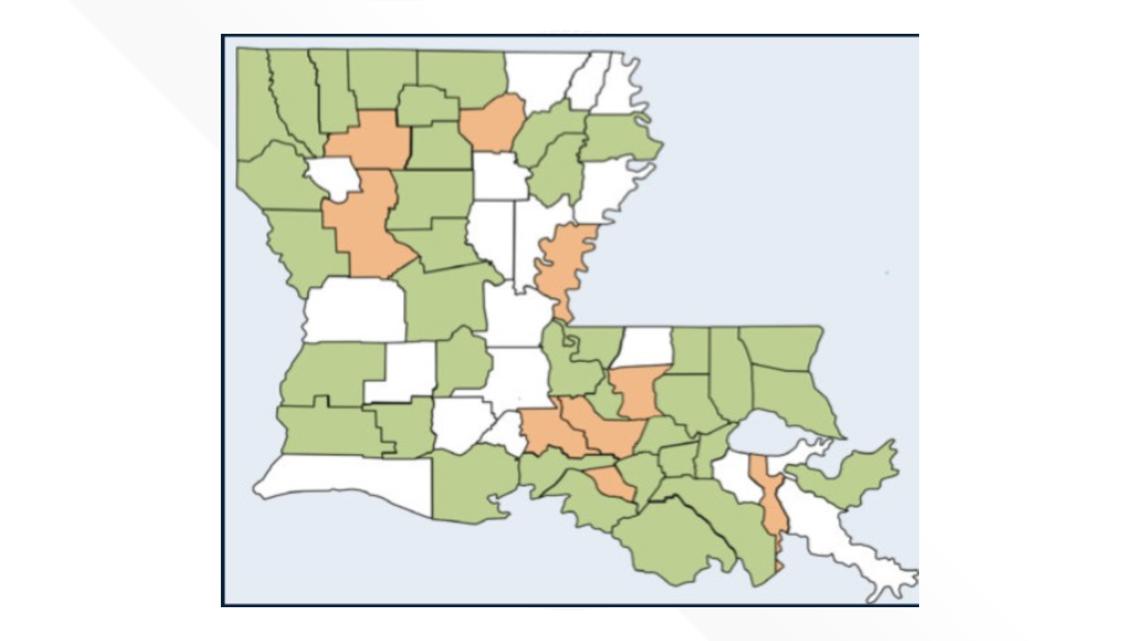 What is on the ballot in Louisiana in April? - Vimarsana News