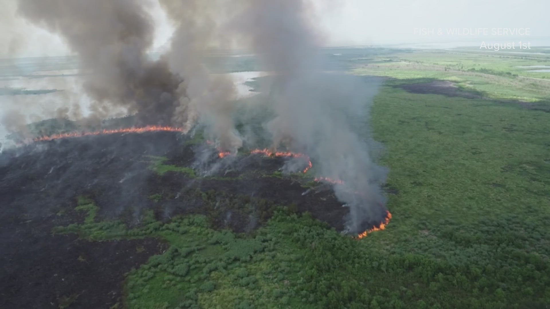 Firefighters continued for at least a fifth day of battling a fire in Bayou Sauvage in New Orleans.