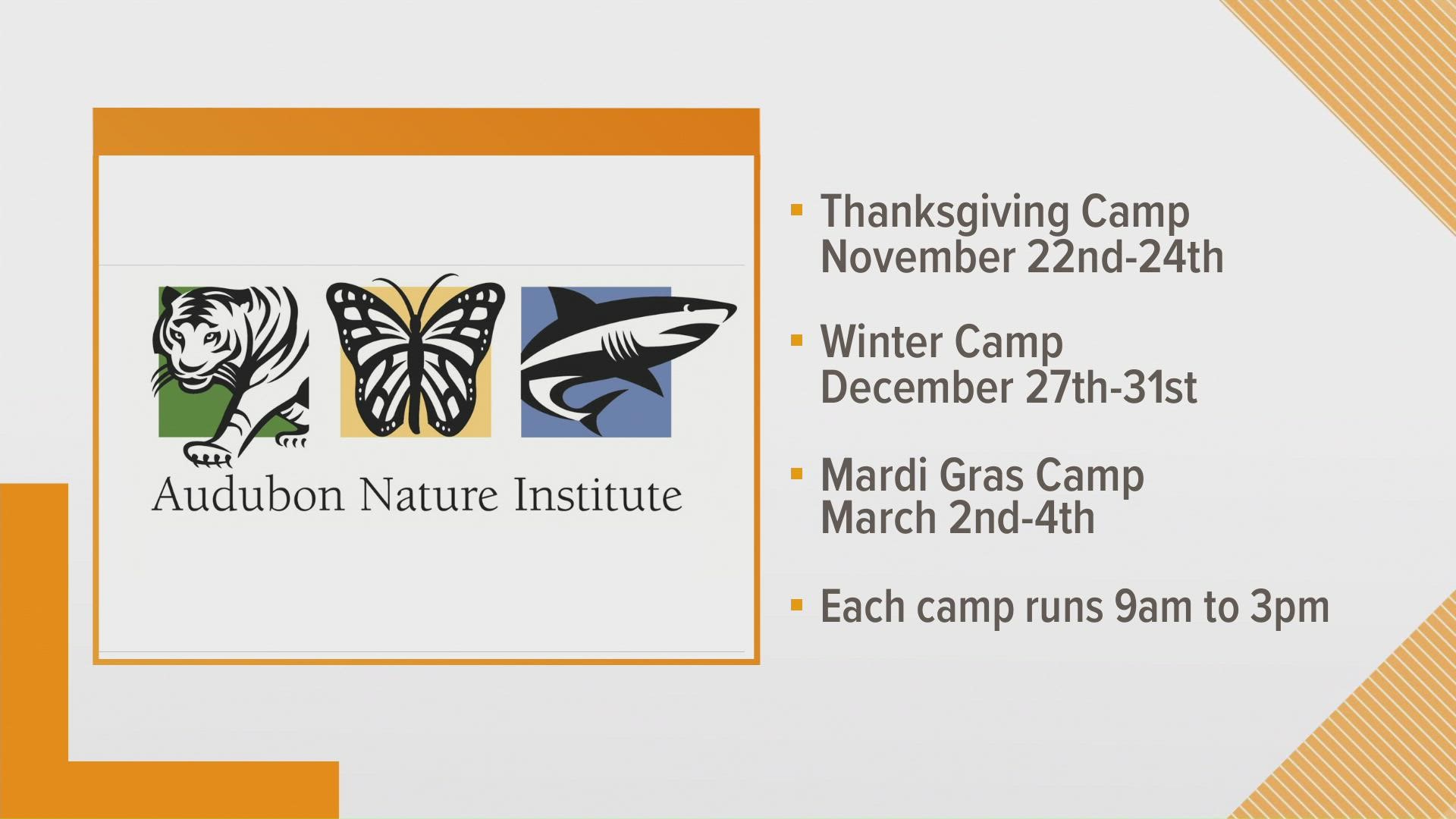 Registration is open now at audubonnatureinstitute.org/holiday-camps