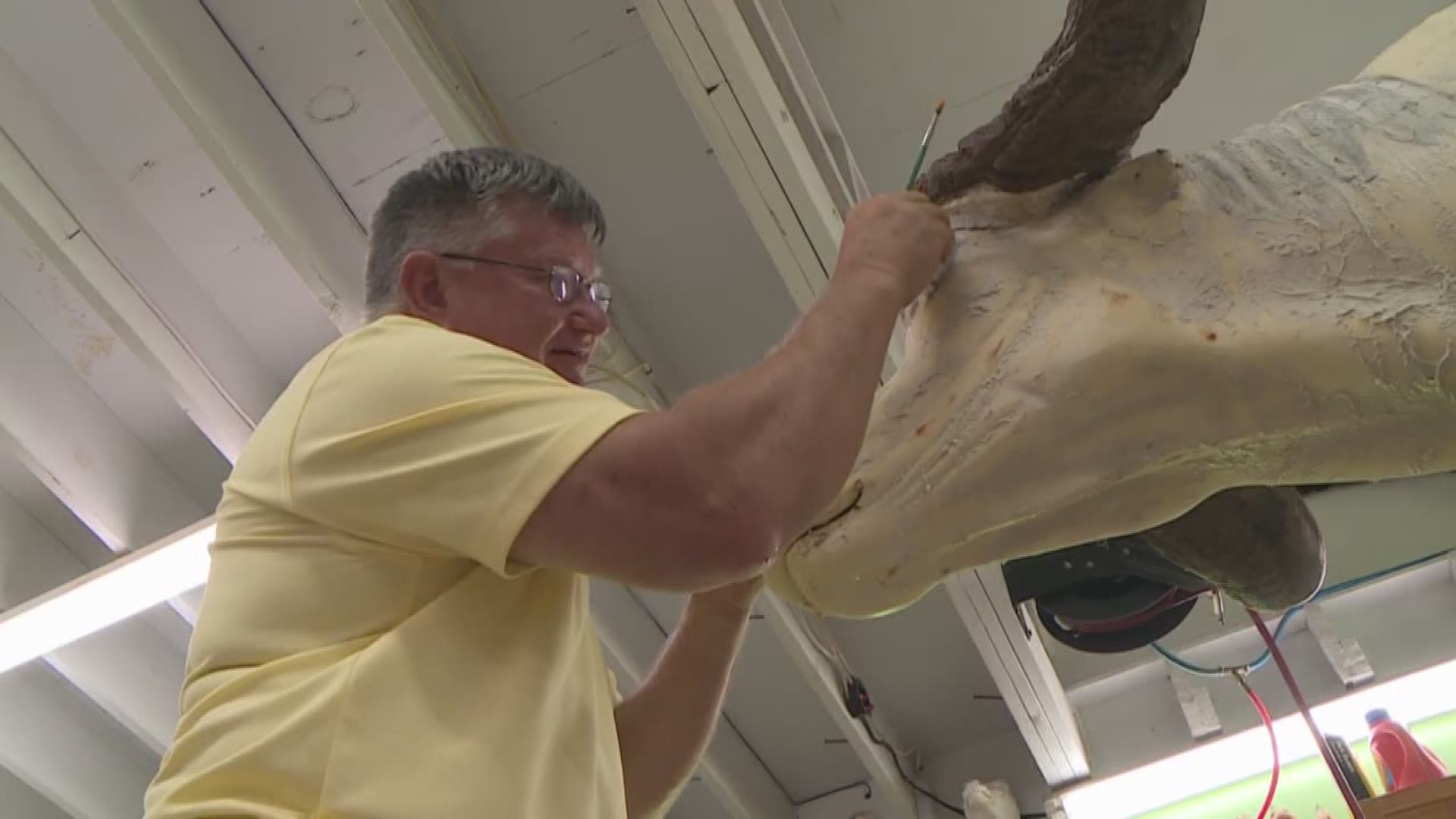 On one side of Carl Tregre's Swampland Taxidermy shop in Houma is pretty much what you'd expect to see: Deer, fish and ducks. The other side? Not so much.