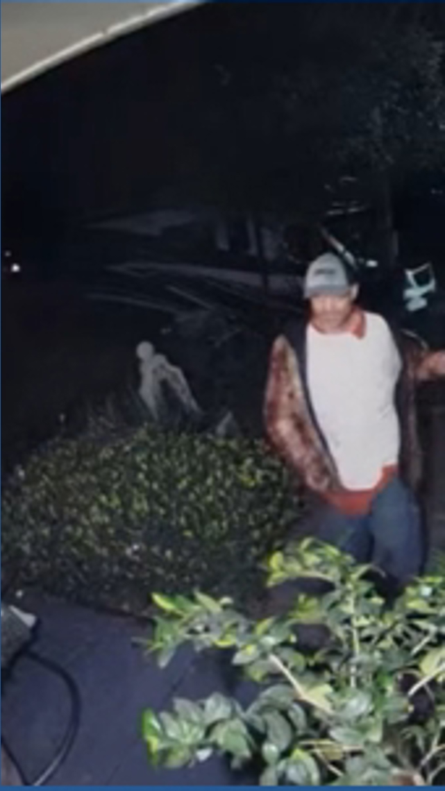NOPD: Man arrested after attempting to steal yacht, crashes into ...