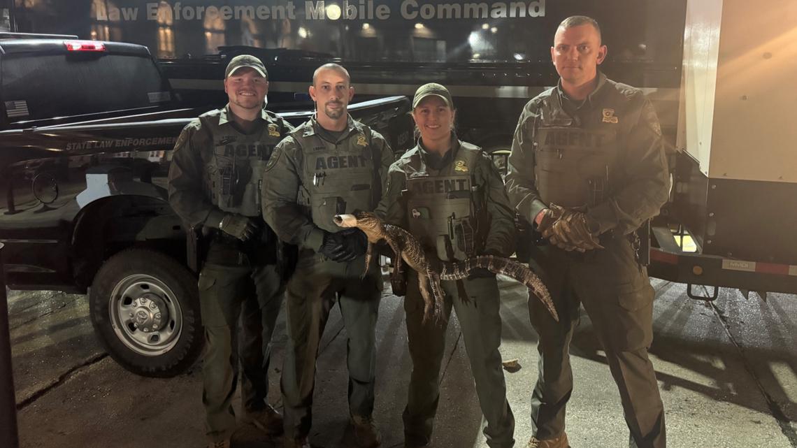 Wildlife agents seize live alligator from man on Bourbon Street during Mardi Gras patrol