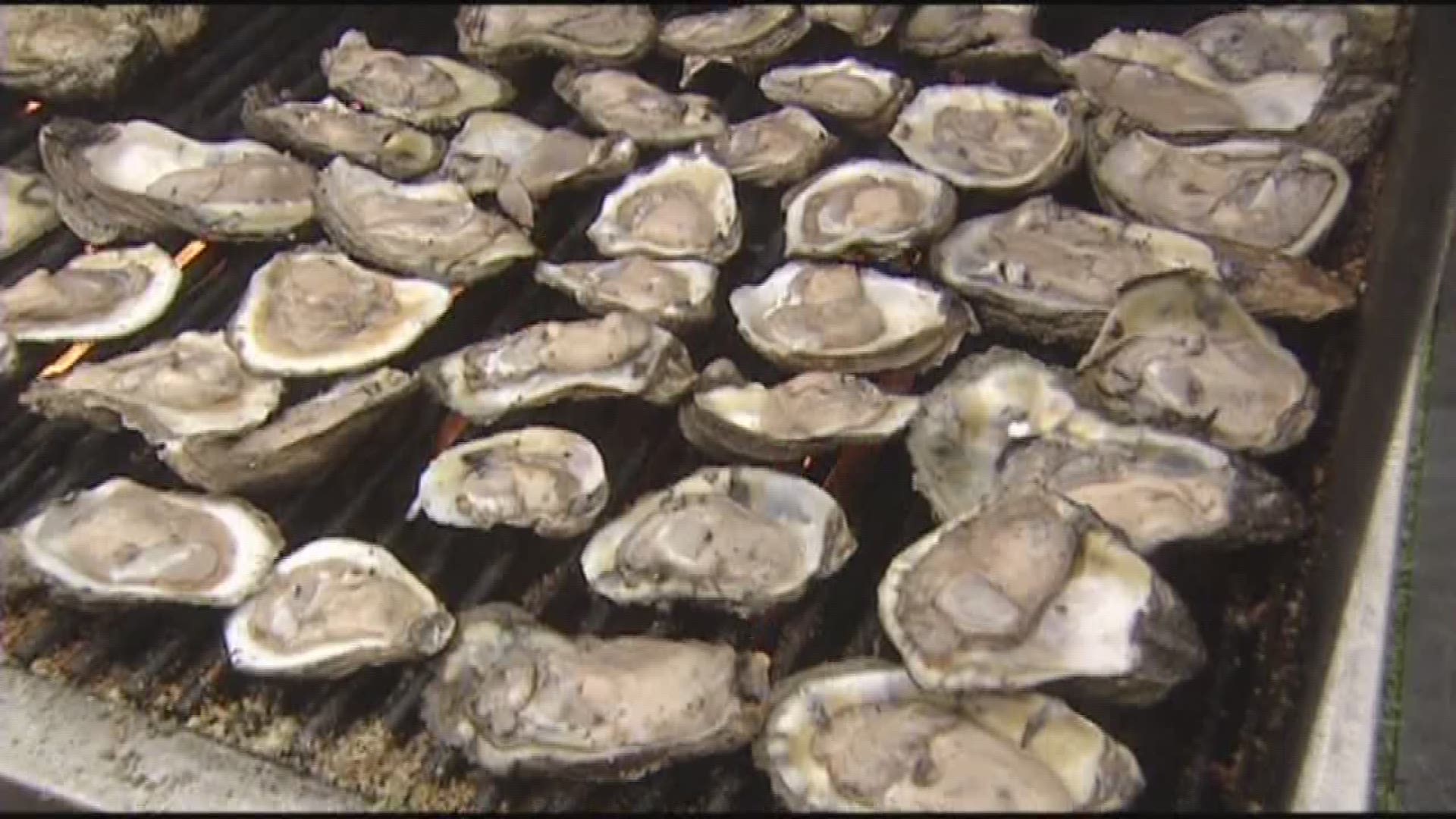 It is that time again, oyster time. The annual New Orleans Oyster Festival kicks off this Saturday. Stephen Schnell and Chef Devan Giddix of Bourbon House give us a taste.