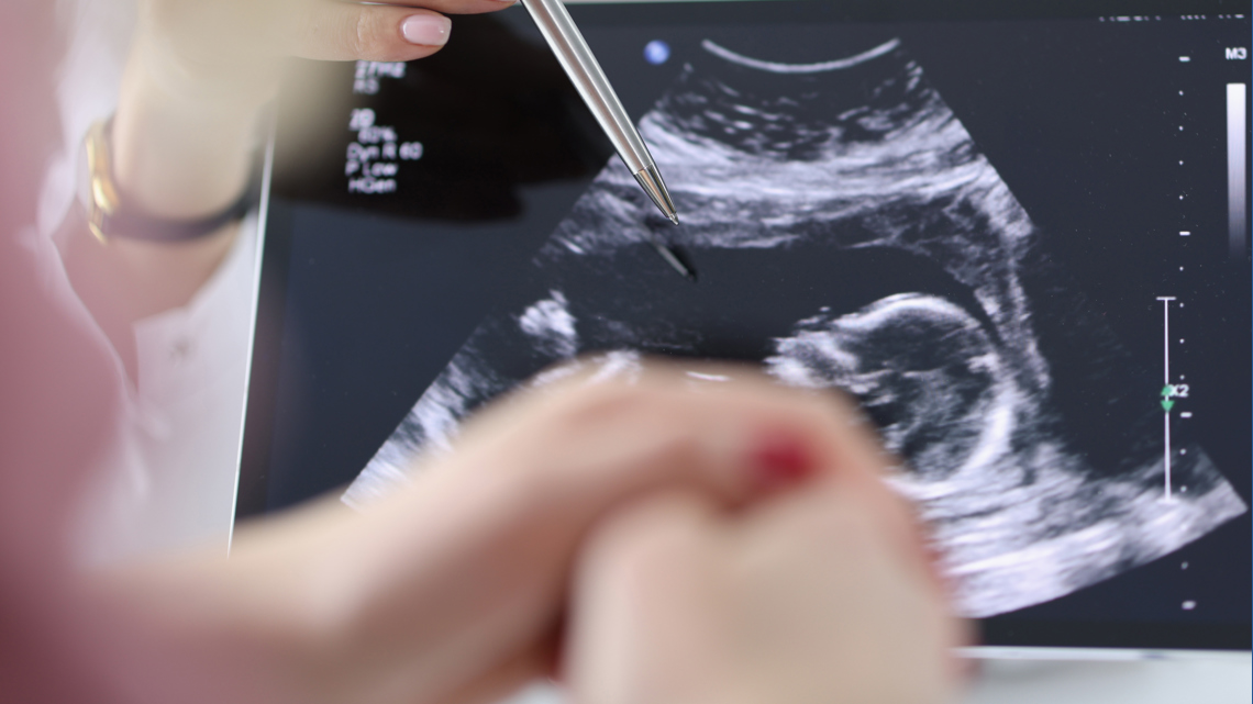 Lawmaker pushes for videos of fetal development to be shown in Louisiana schools