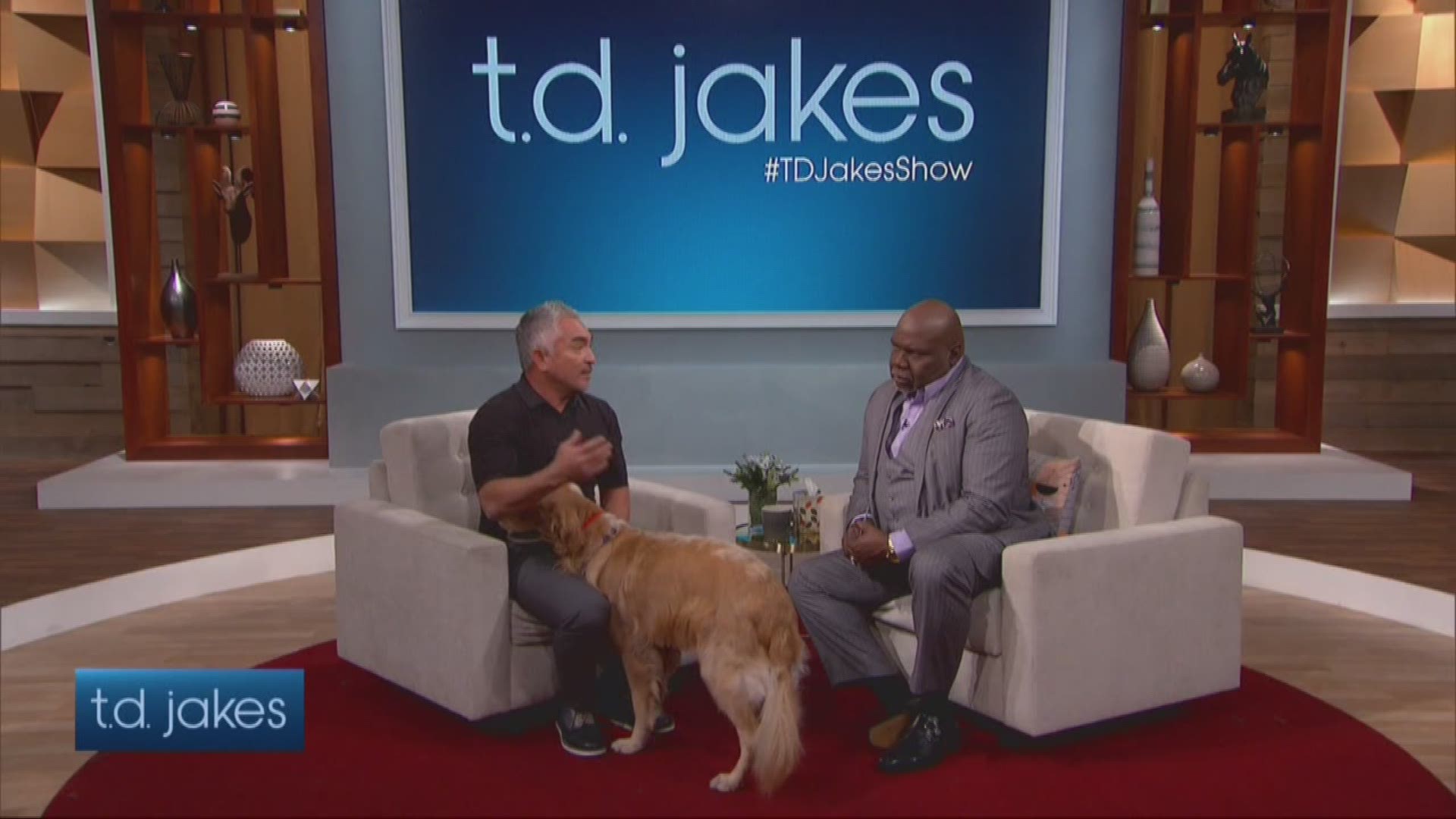 local dog behaviorist