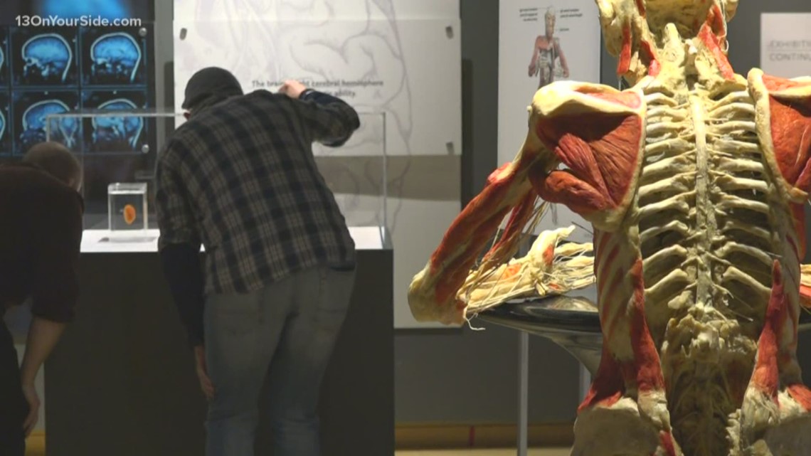 Bodies Revealed exhibit sells out on opening day in Grand Rapids ...